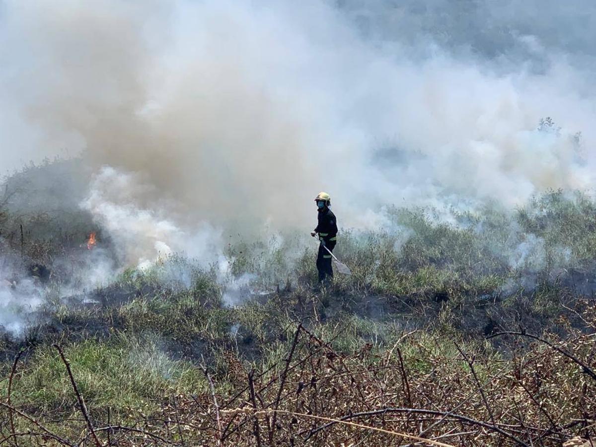 Una quema de rastrojos en Monte se avivó con el azote de fuertes rachas de nordeste, lo que obligó a intervenir a los bomberos de Santander, que sofocaron las llamas que causaron una gran humareda. No ha habido que lamentar daños materiales ni personas,