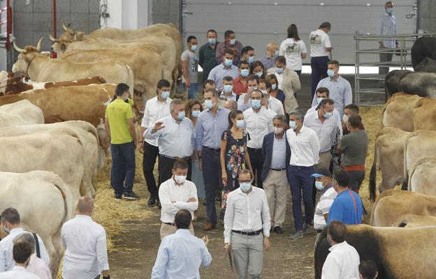 La pareja real, entre vacas, en Torrelavega.