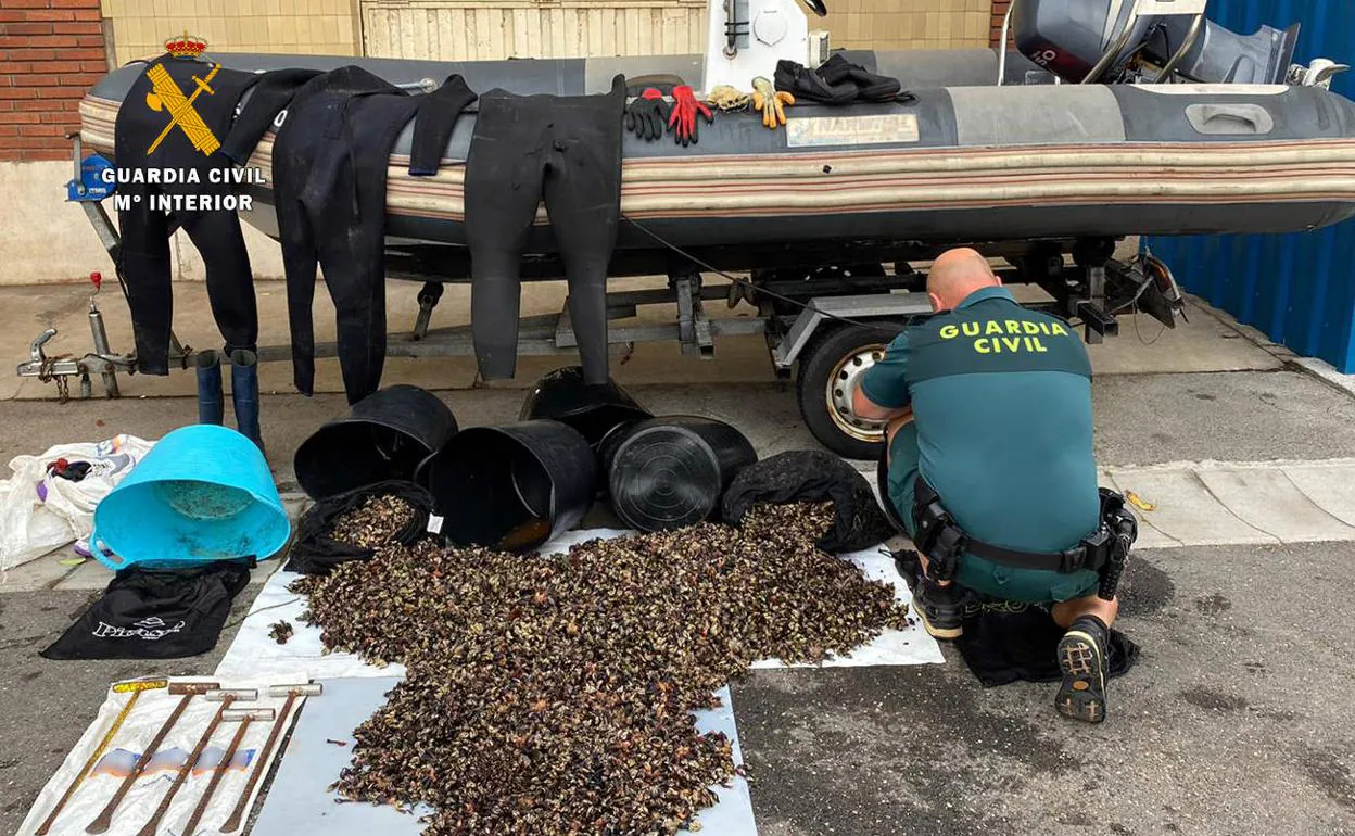 Los percebes incautados se llevaron a la Cocina Económica.