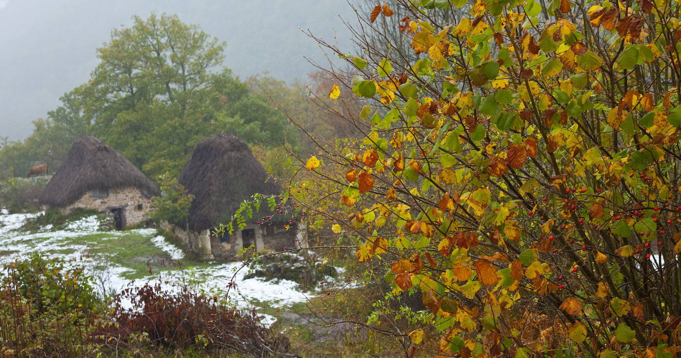 Brañas de Teito, Asturias