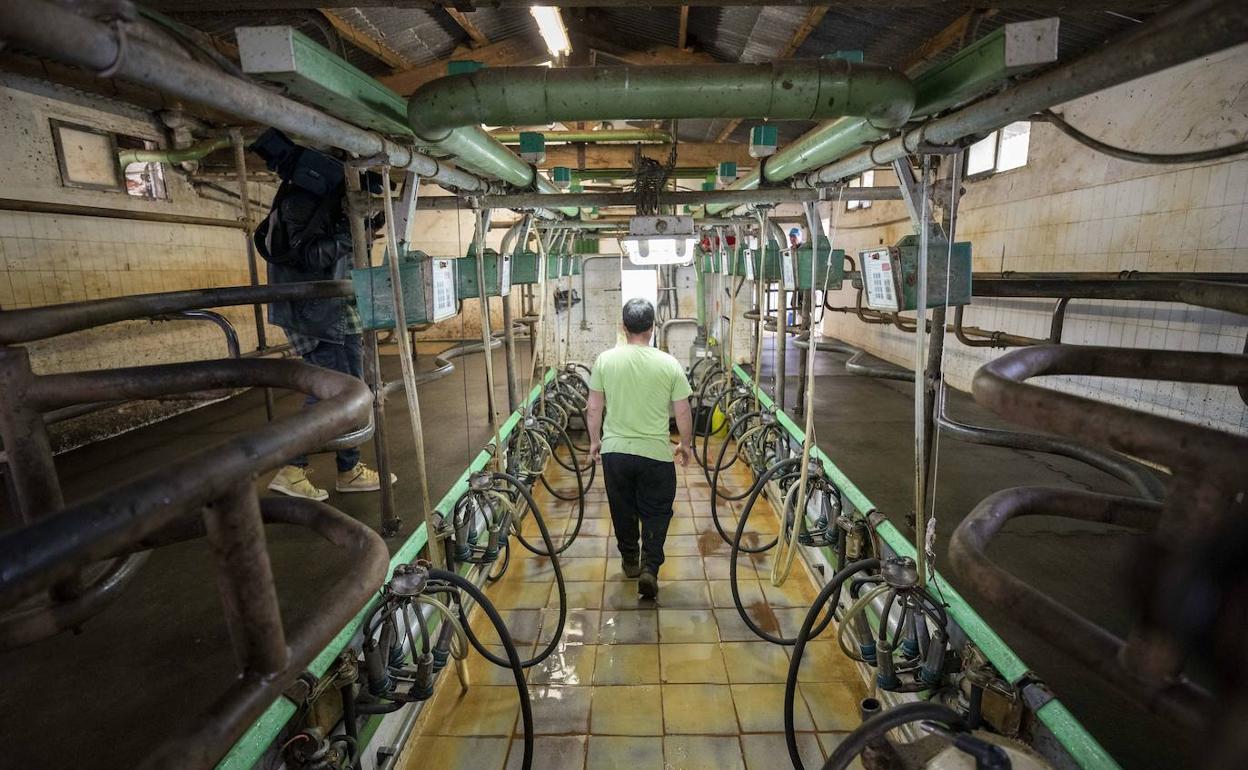 El Gobierno destina un millón de euros a dos nuevas ayudas para apoyar la renta de los ganaderos