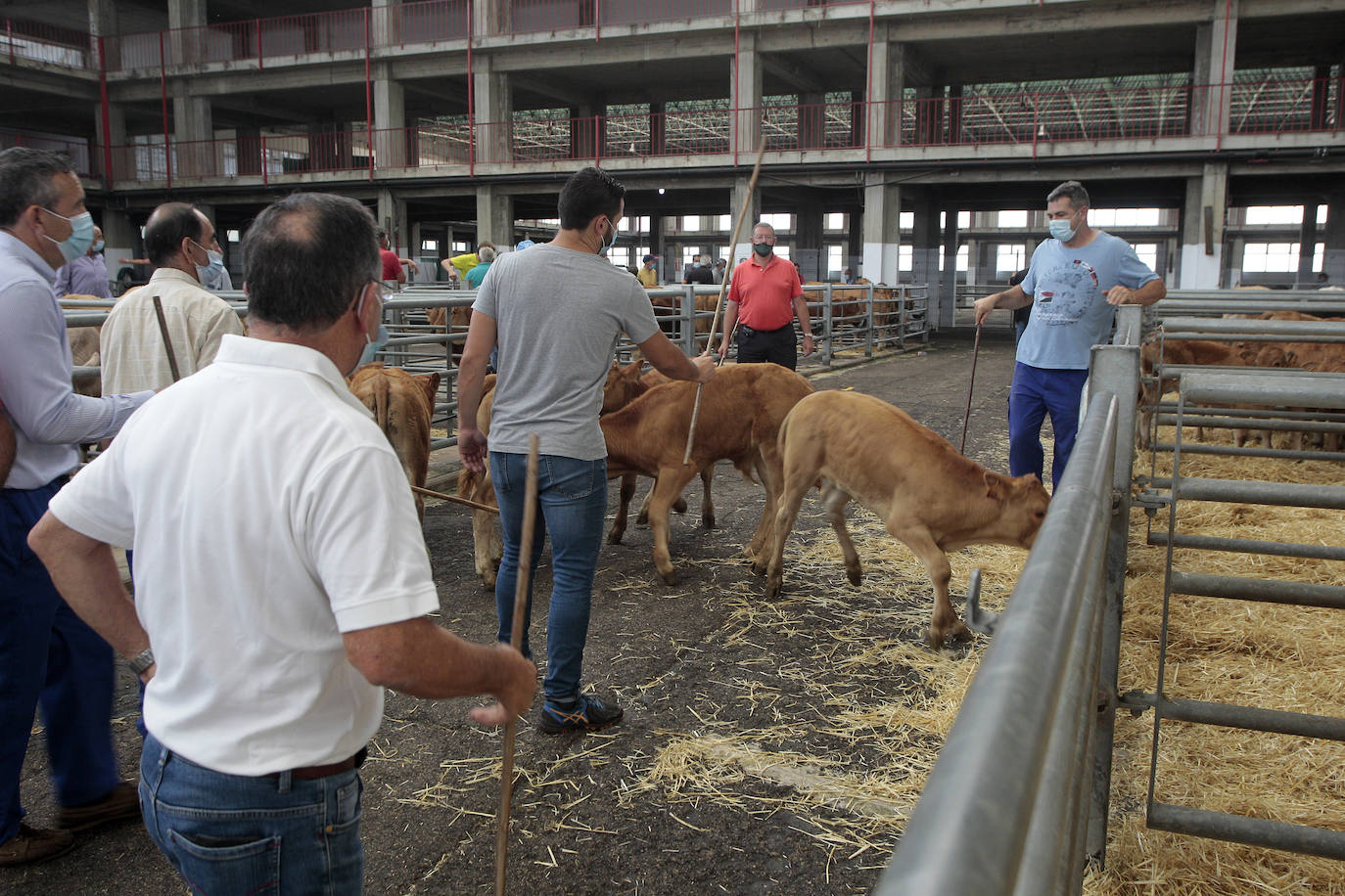 Fotos: La feria de nuevo en marcha