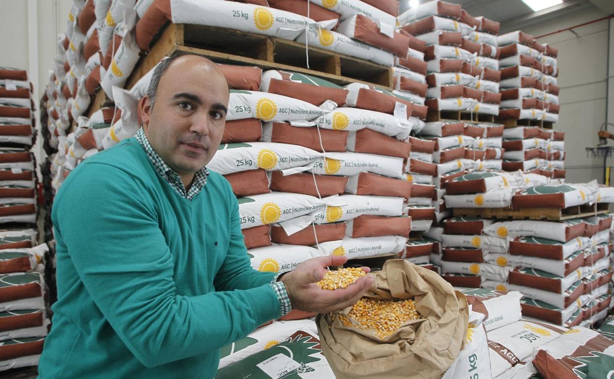 Jacobo Alonso, con una muestra de uno de los piensos destinados a la alimentación animal que elaboran en la fábrica de Tanos, la más moderna en su clase del norte de España. 