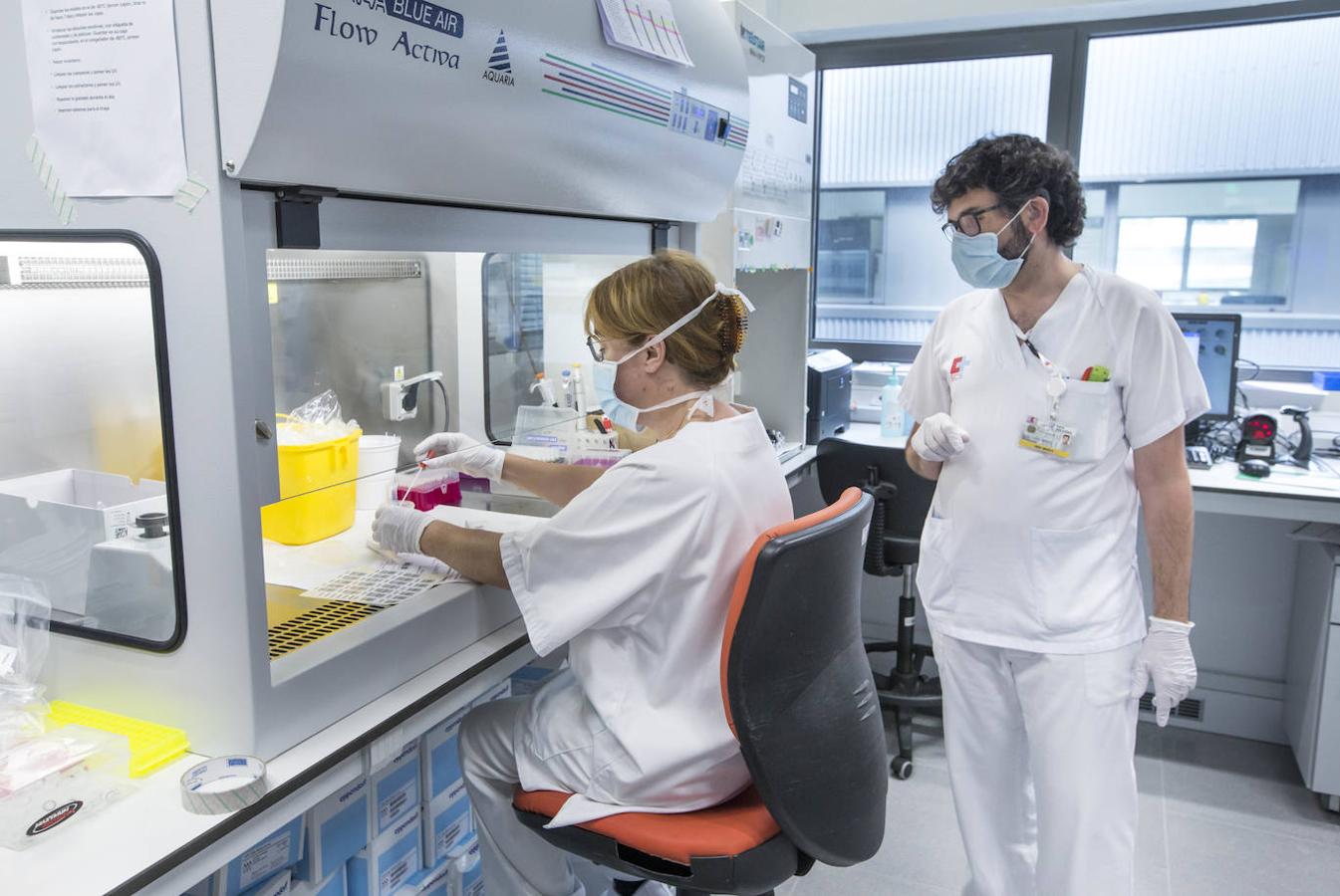 El laboratorio de Microbiología realiza más de 1.500 PCR diarias en busca del patógeno, oculto en un 6% de las pruebas.