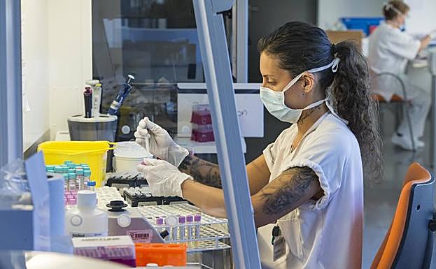 Galería. Un momento del proceso de realización de las pruebas.