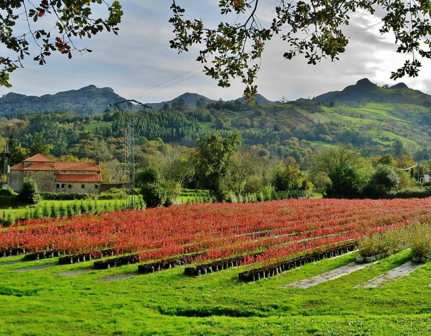 Finca en Liérganes.