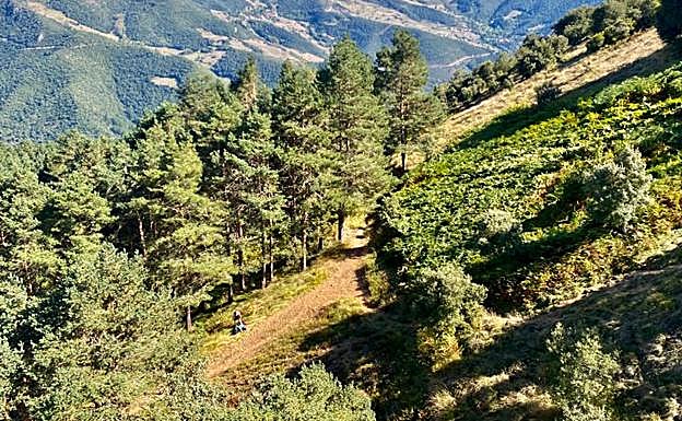 Lugar donde se produjo la caída.