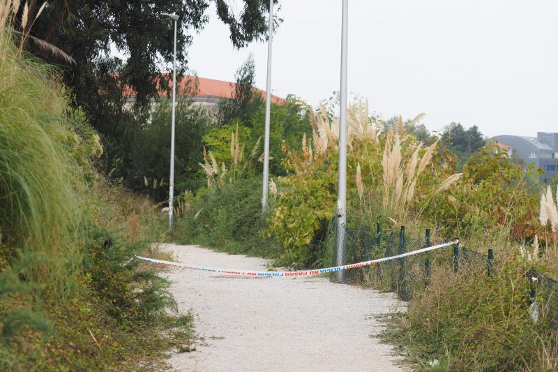 Fotos: La zona de arbustos próxima a la Peña del Cuervo donde ha aparecido el cuerpo de la mujer