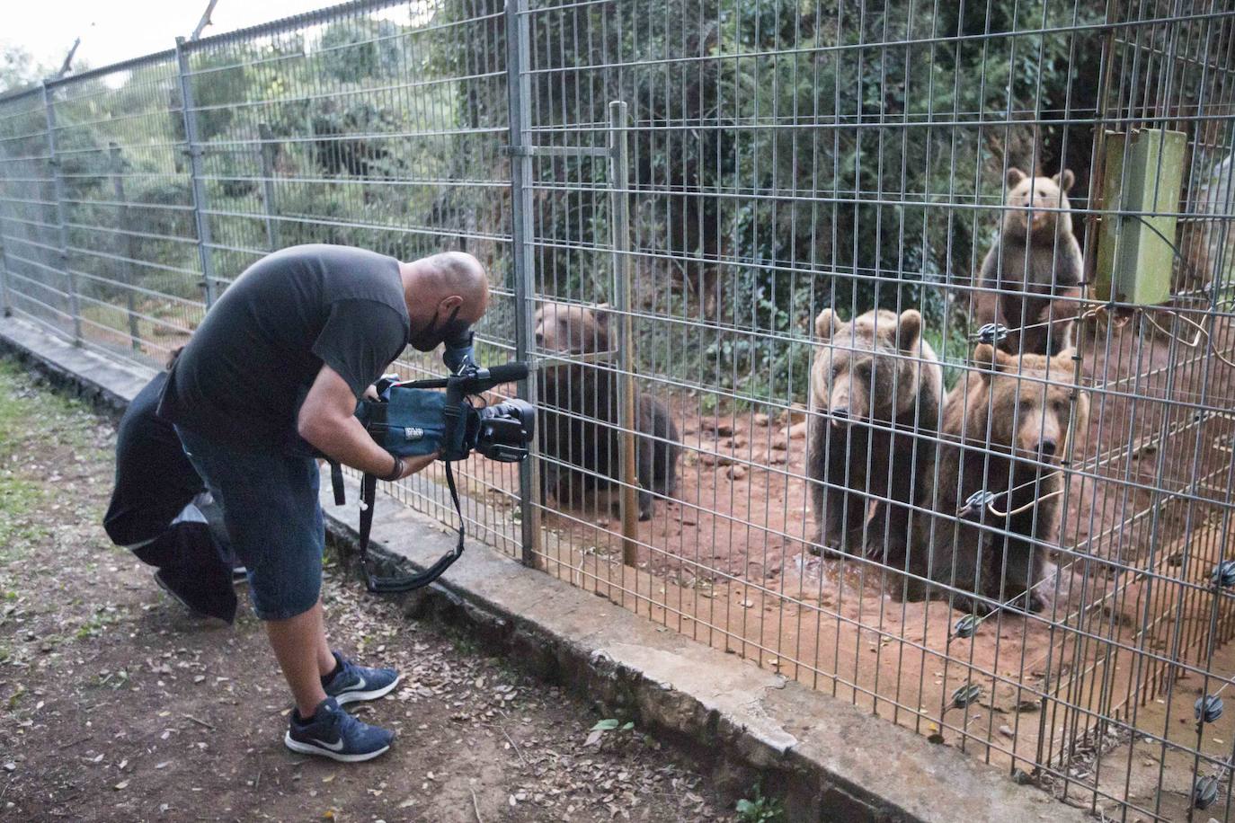 Imágenes de una visita nocturna al Parque de la Naturaleza de Cabárceno, una experiencia que se pone en marcha coincidiendo con el periodo en el que se producen la berrea y la ronca.