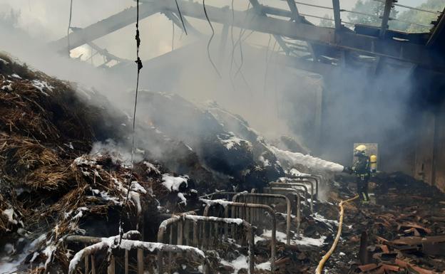 Imagen principal - Mueren 25 reses en un incendio en una nave ganadera en Vega de Liébana