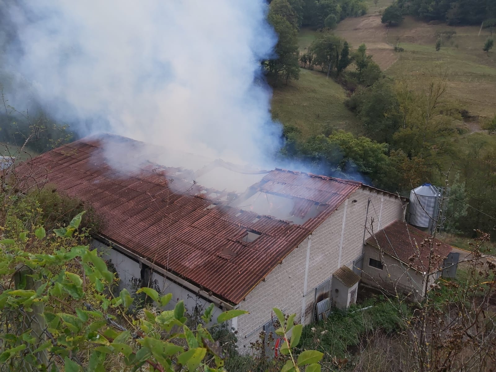 Imagen secundaria 1 - Mueren 25 reses en un incendio en una nave ganadera en Vega de Liébana