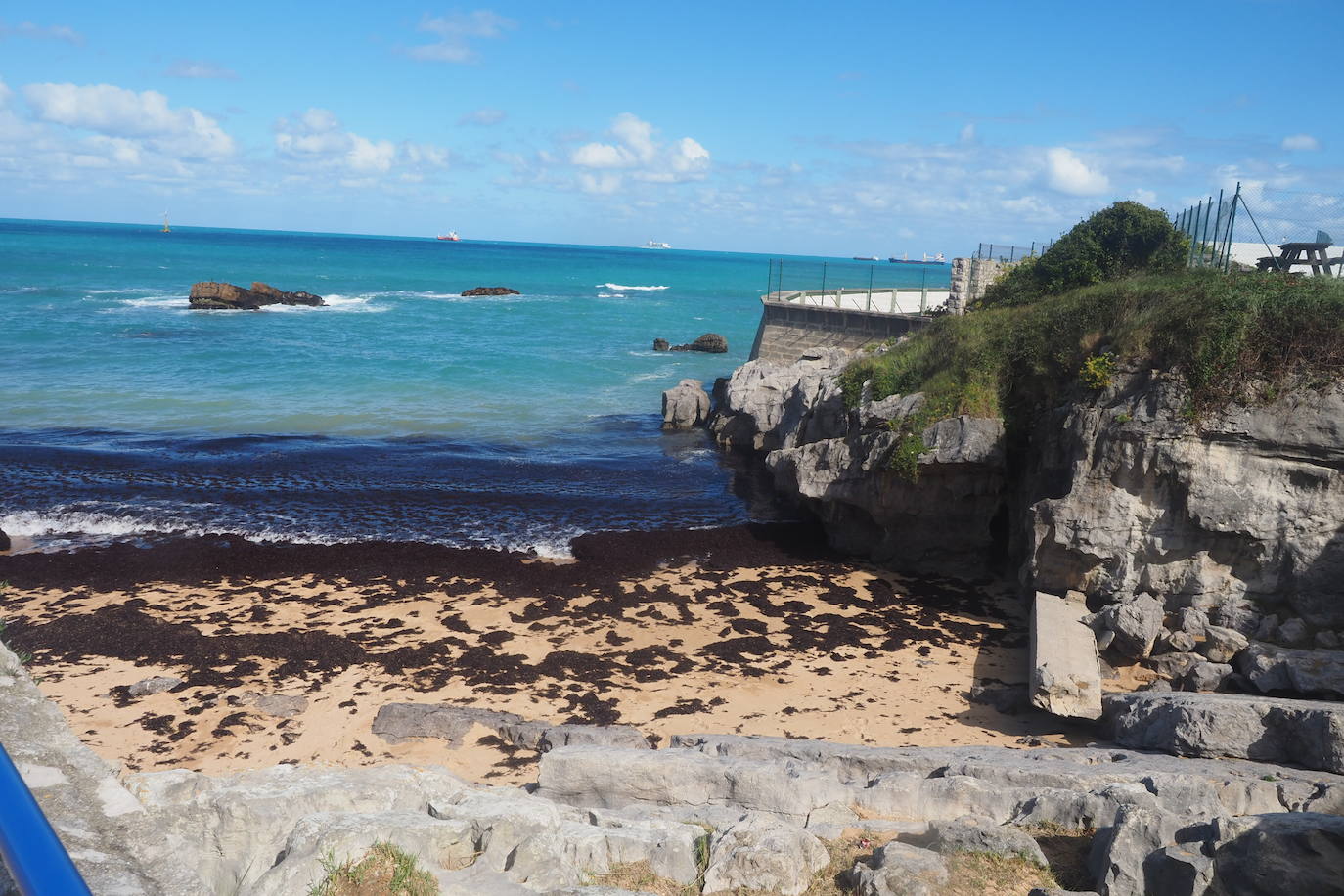 Muchas playas de Cantabria han amanecido este domingo con sus orillas teñidas del rojo de la caloca. La mala mar de estos días ha sacado estas algas del fondo marino, que han emergido formando montañas al borde del mar. Comienzan a verse cuadrillas extrayendo la caloca a paladas. Son los 'caloqueros', que, a la par que se ganan la vida secando y vendiendo estas algas, realizan una labor de limpieza de las playas. En estas imágenes, caloqueros trabajando en la Virgen del Mar y la playa de El Camello invadida de caloca.