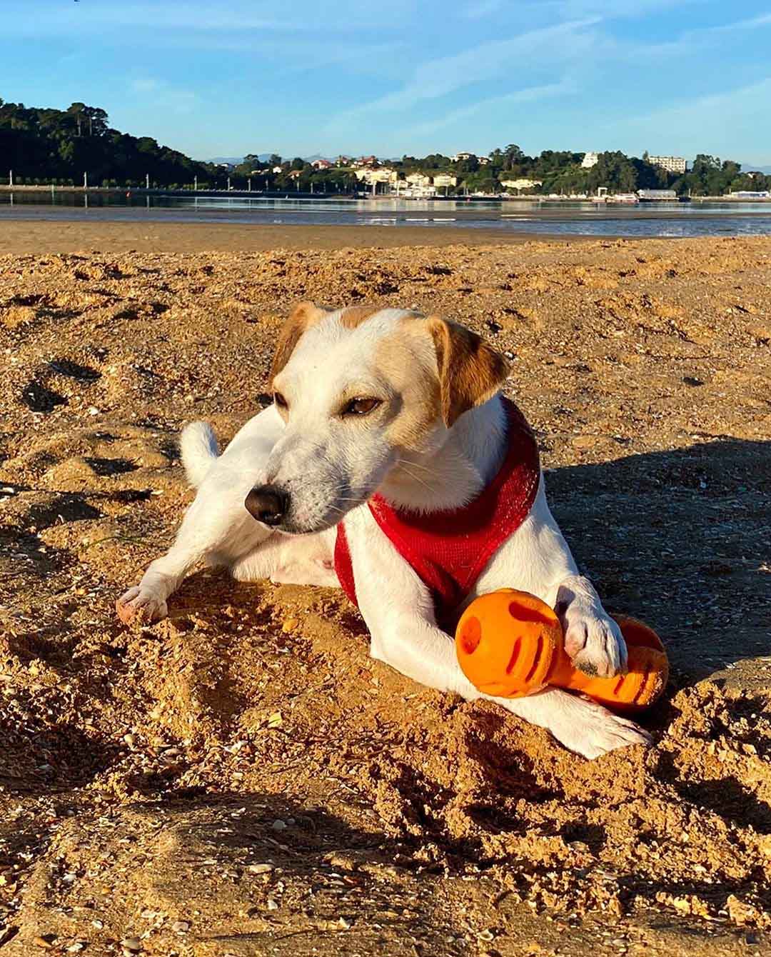 Jugando en la Playa de Somo.