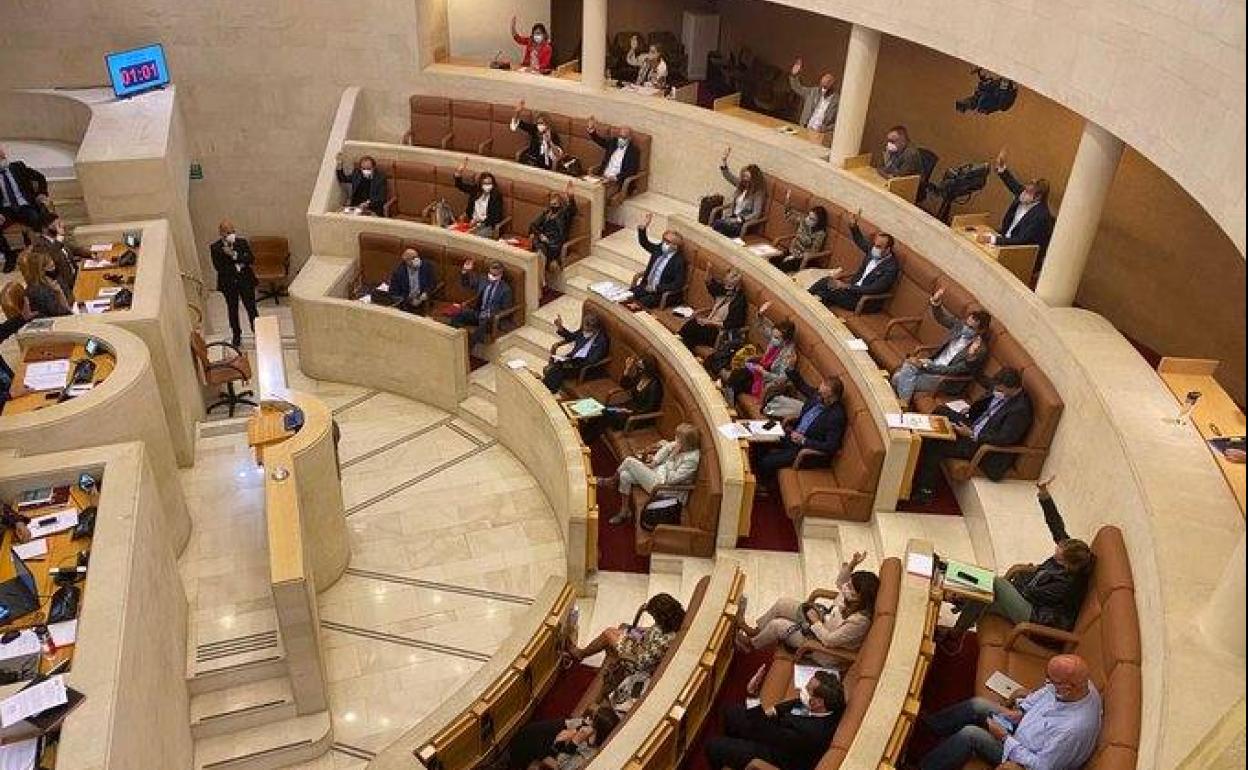 Manos alzadas durante la votación de la reforma legislativa, esta mañana.