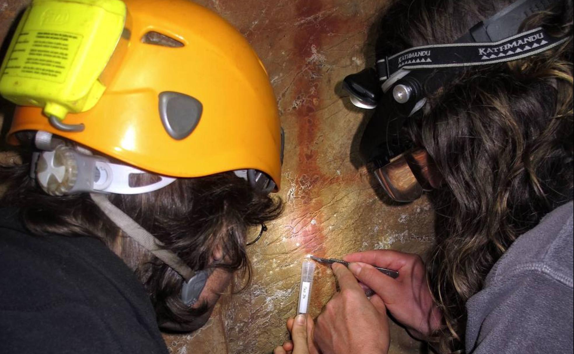 Toma de muestras en una pintura rupestre de la cueva de La Pasiega en Puente Viesgo. 