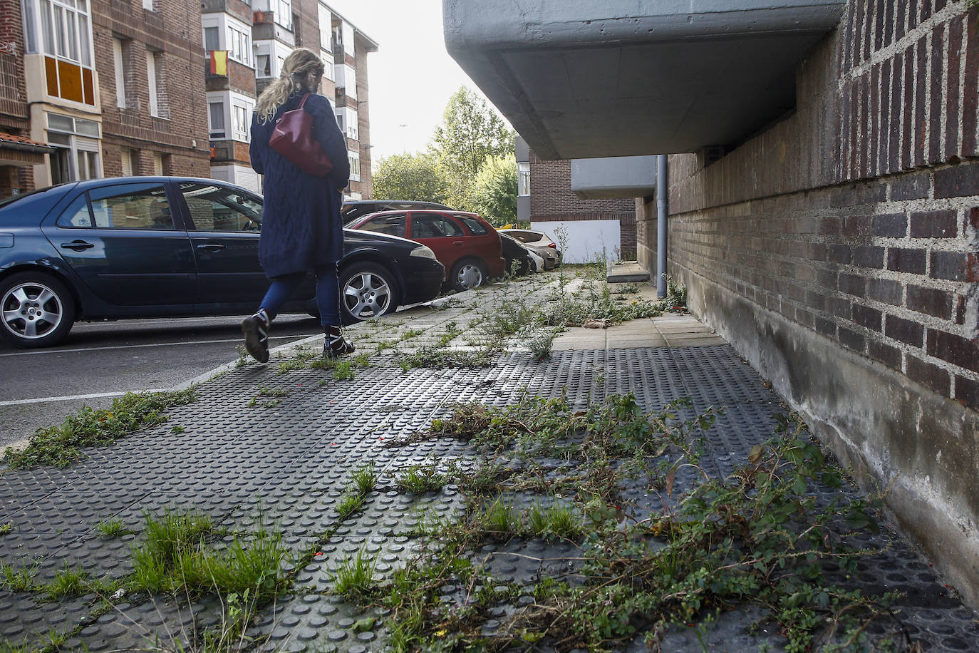 Las calles de Ganzo están invadidas por la suciedad y la maleza, denuncian los vecinos.