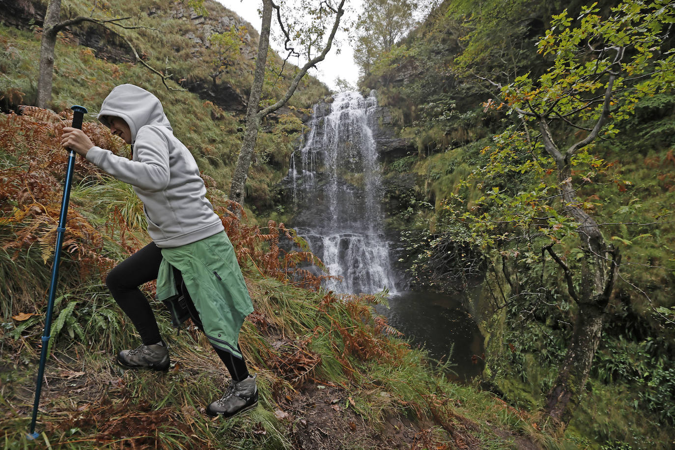 La Asociación de Desarrollo Rural Saja Nansa subvencionará un proyecto específico, a través del programa Leader, para acondicionar y señalizar la ruta de las cascadas de Viaña (Cabuérniga). Se unen a las cascadas de Lamiña (Ruente). Juntas componen un bello patrimonio natural que los dos ayuntamientos quieren potenciar.