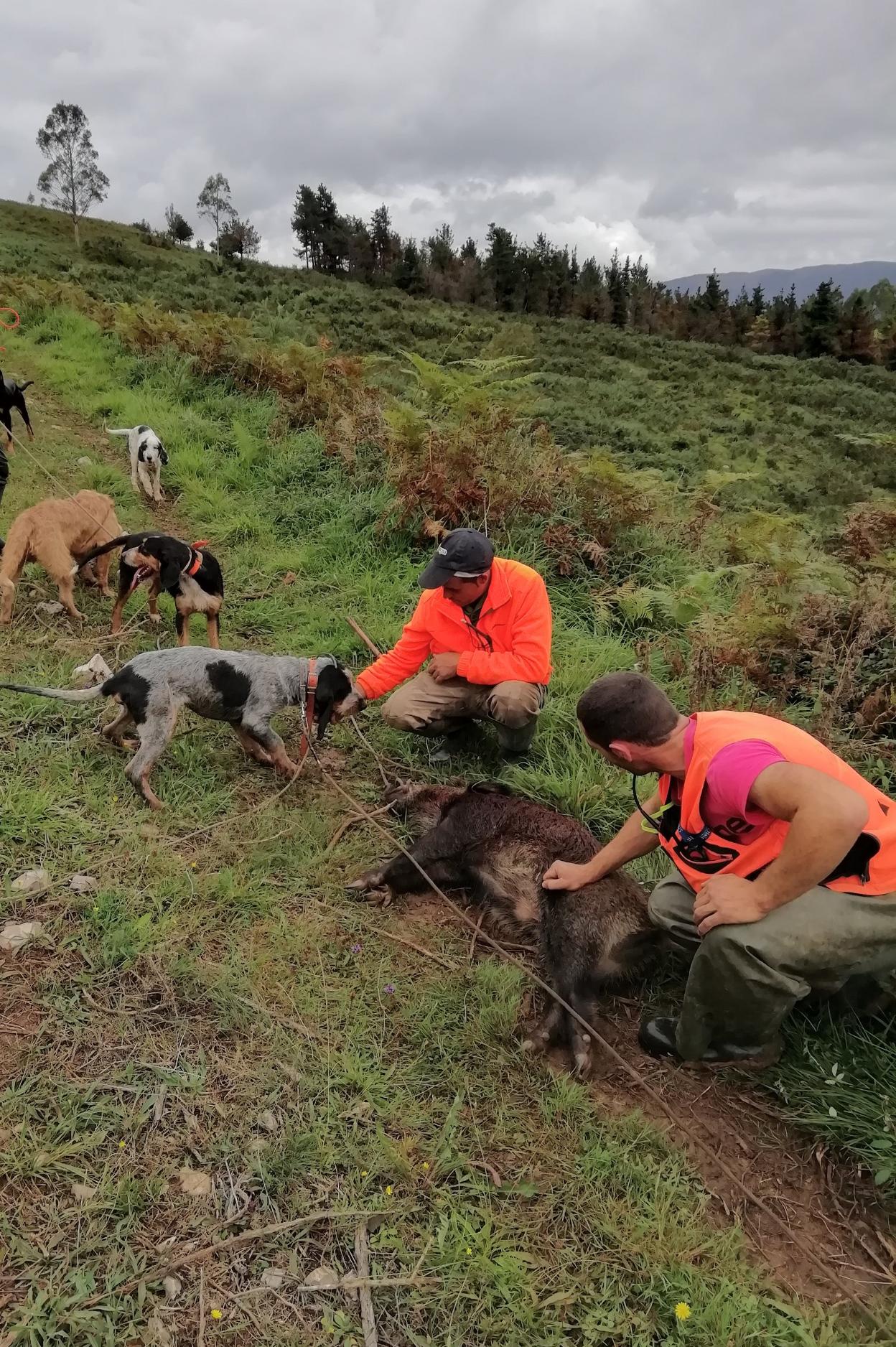 Dos monteros ceban a sus perros en el coto de Valdáliga esta temporada.