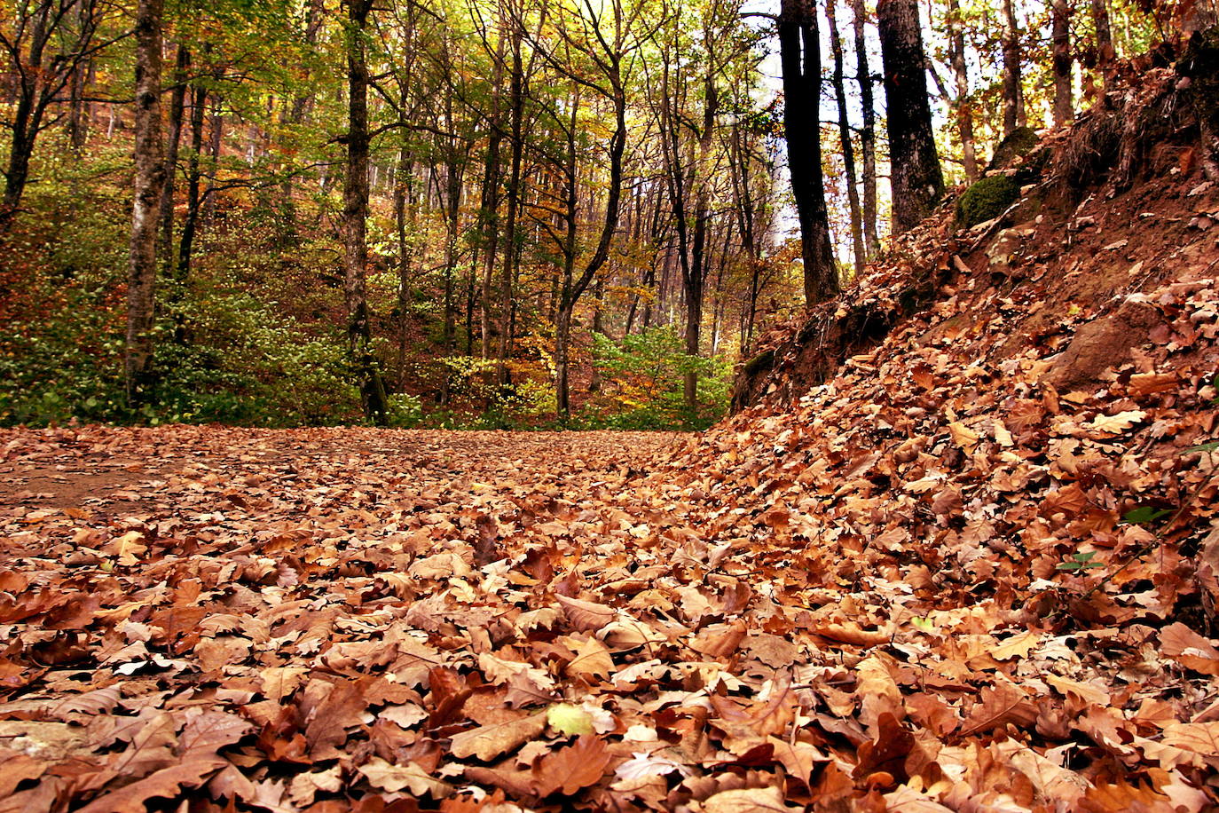 Fotos: Otoño, en los montes de Cantabria