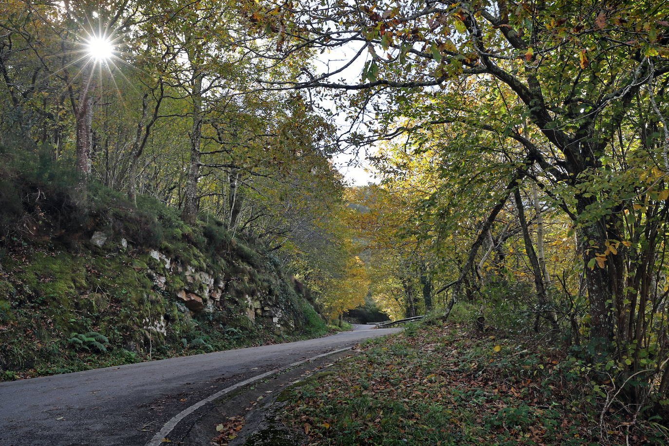 Fotos: Otoño, en los montes de Cantabria