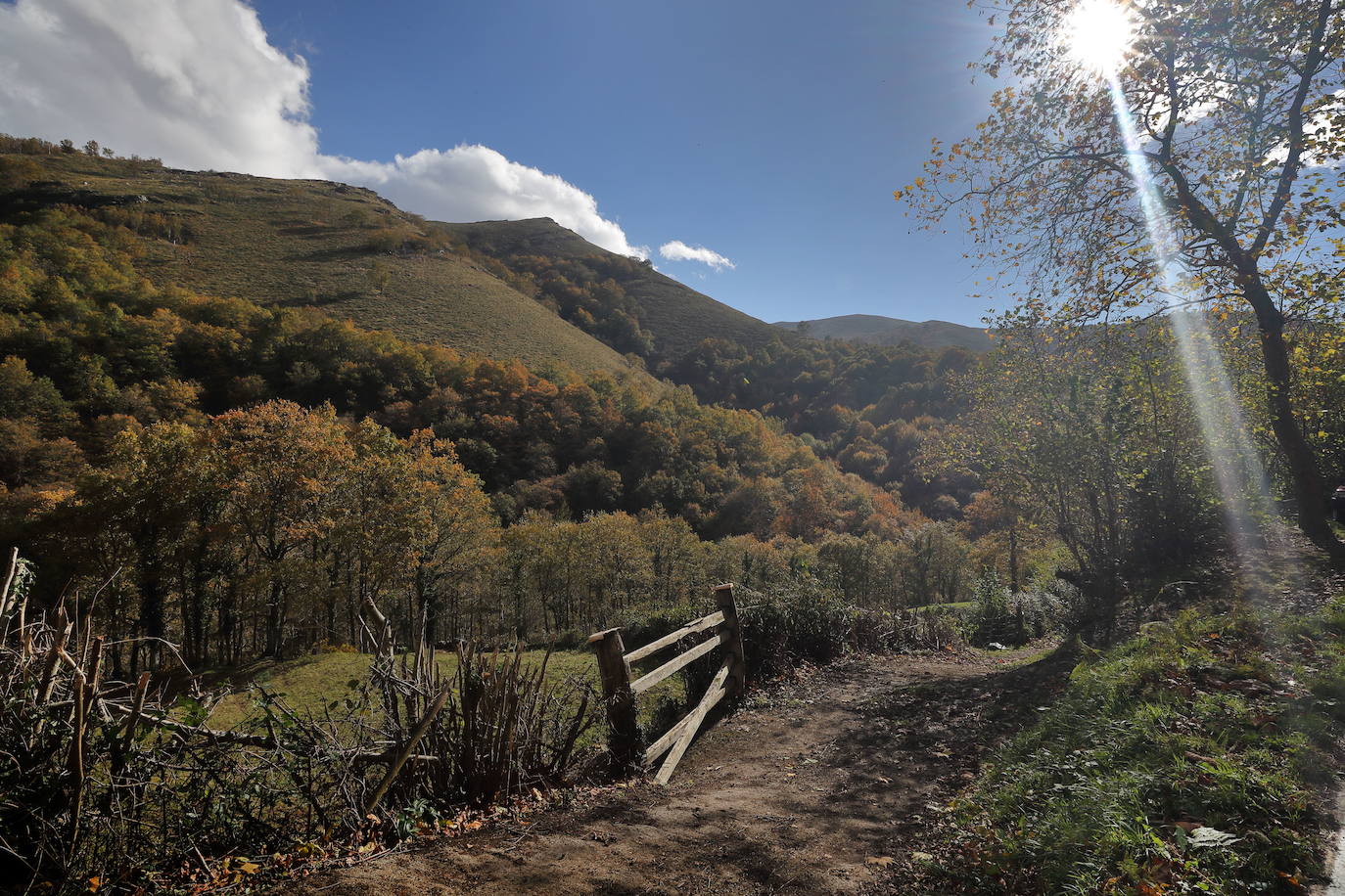 Fotos: Otoño, en los montes de Cantabria