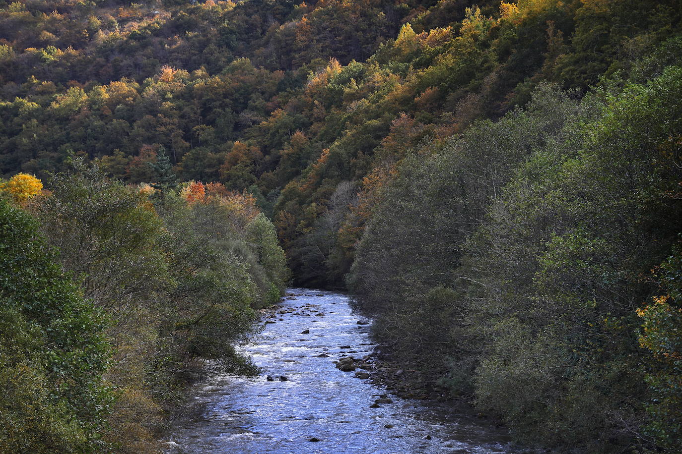 Fotos: Otoño, en los montes de Cantabria