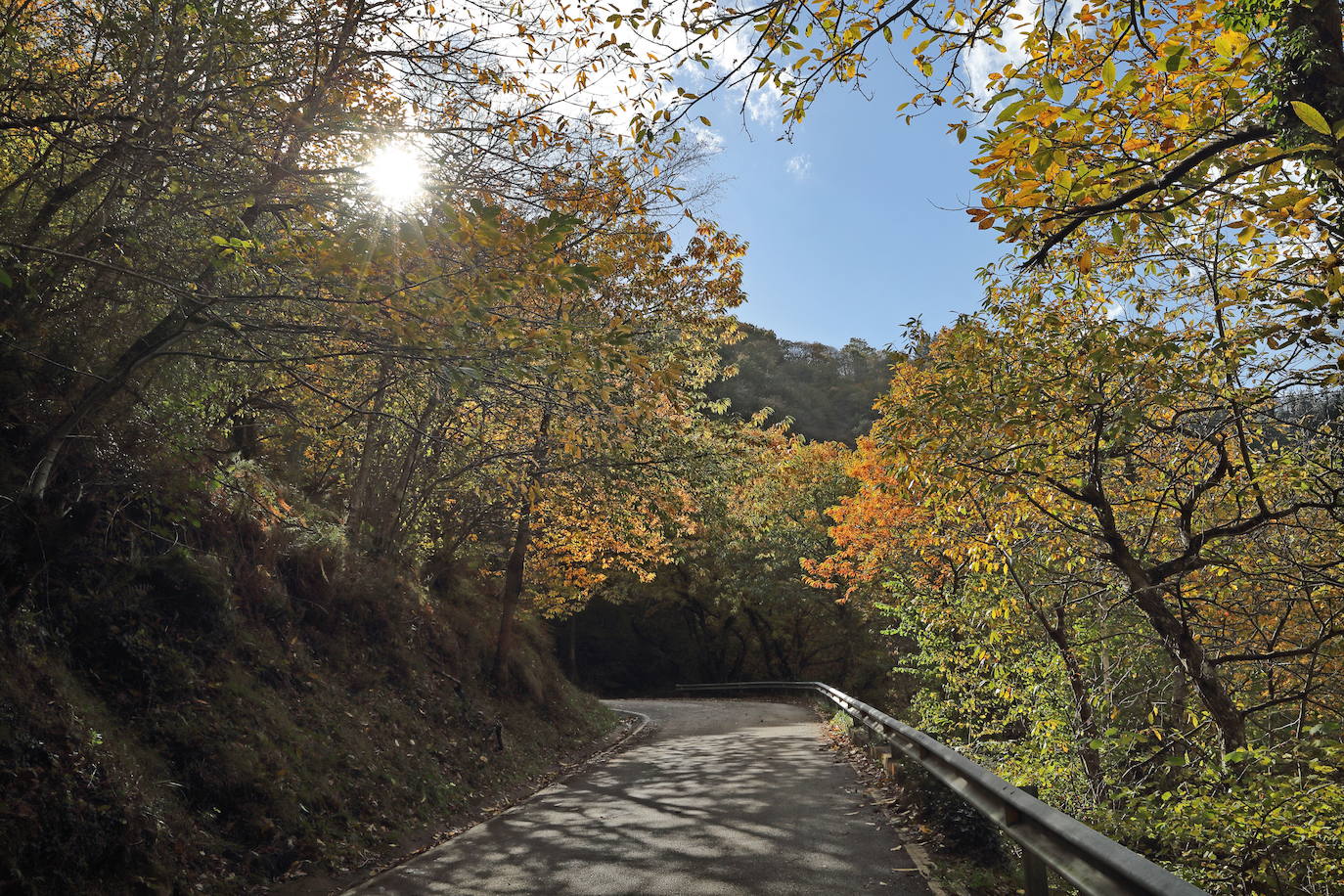 Fotos: Otoño, en los montes de Cantabria