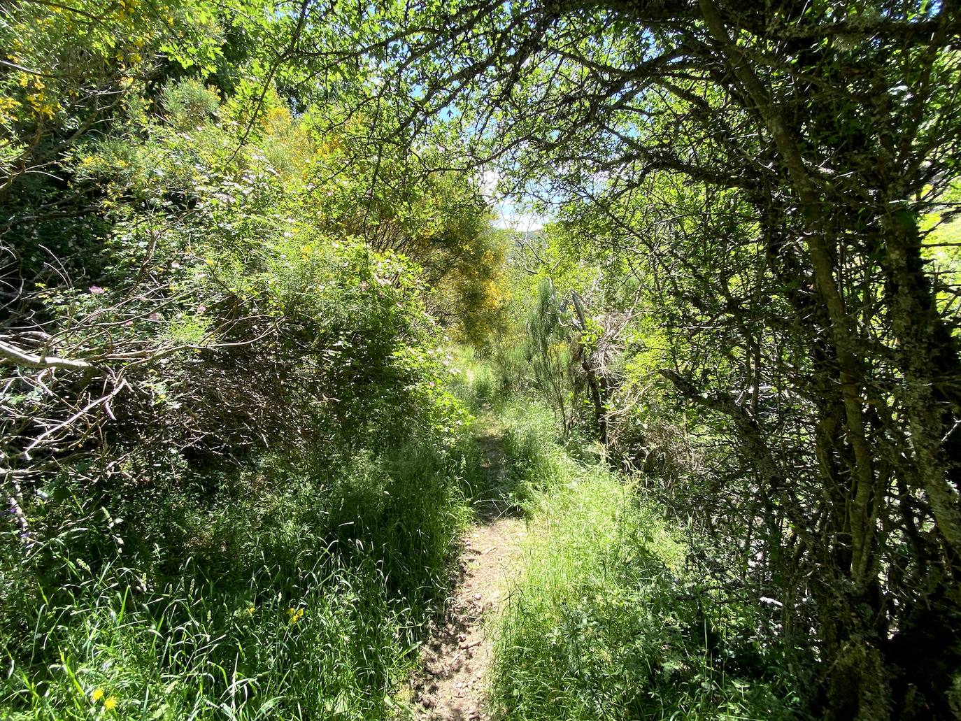 A escasos 50 kilómetros de la ciudad de León se puede disfrutar de una ruta de media montaña, apta para niños, donde ver espectaculares formaciones de roca caliza