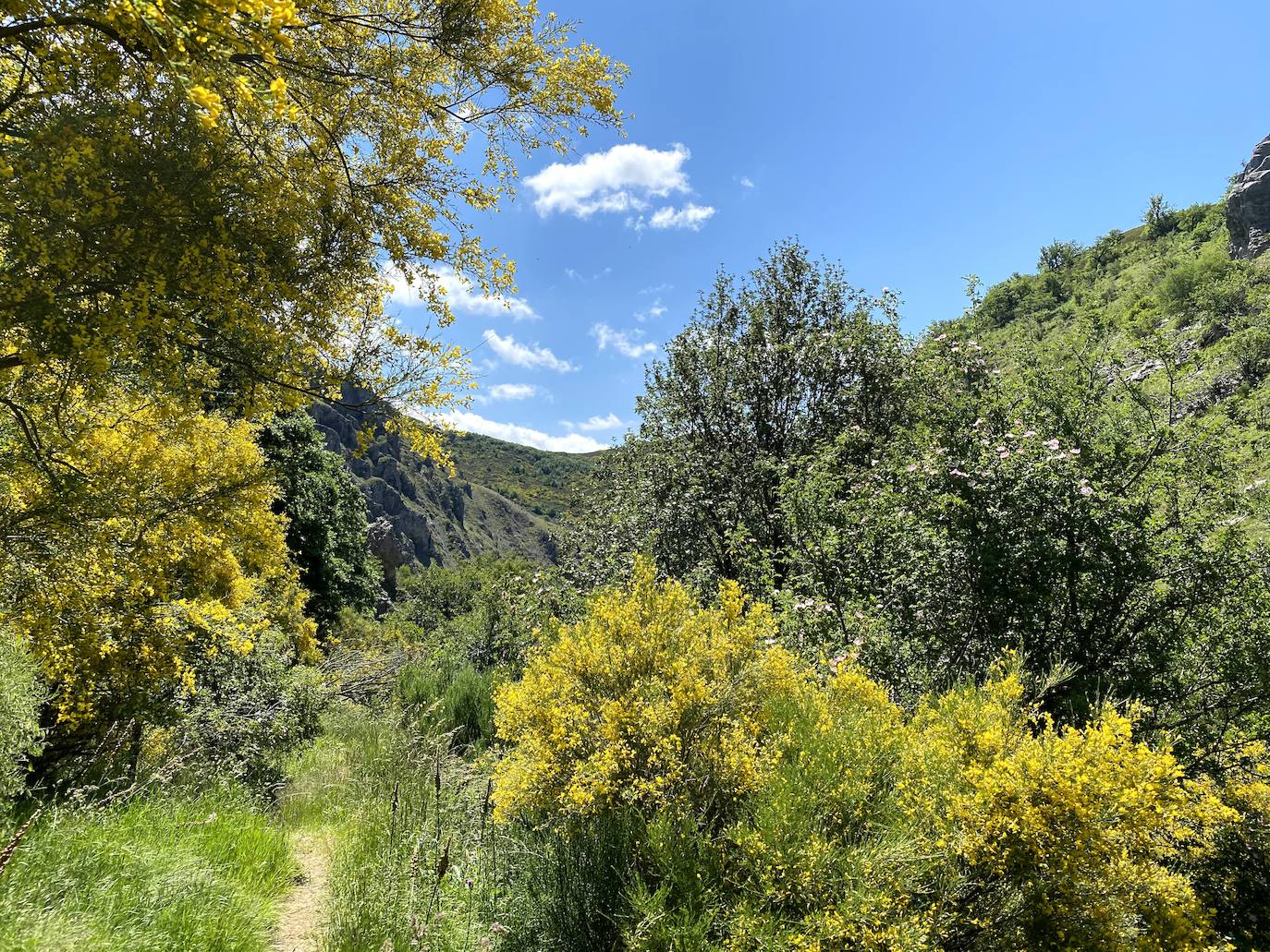 A escasos 50 kilómetros de la ciudad de León se puede disfrutar de una ruta de media montaña, apta para niños, donde ver espectaculares formaciones de roca caliza