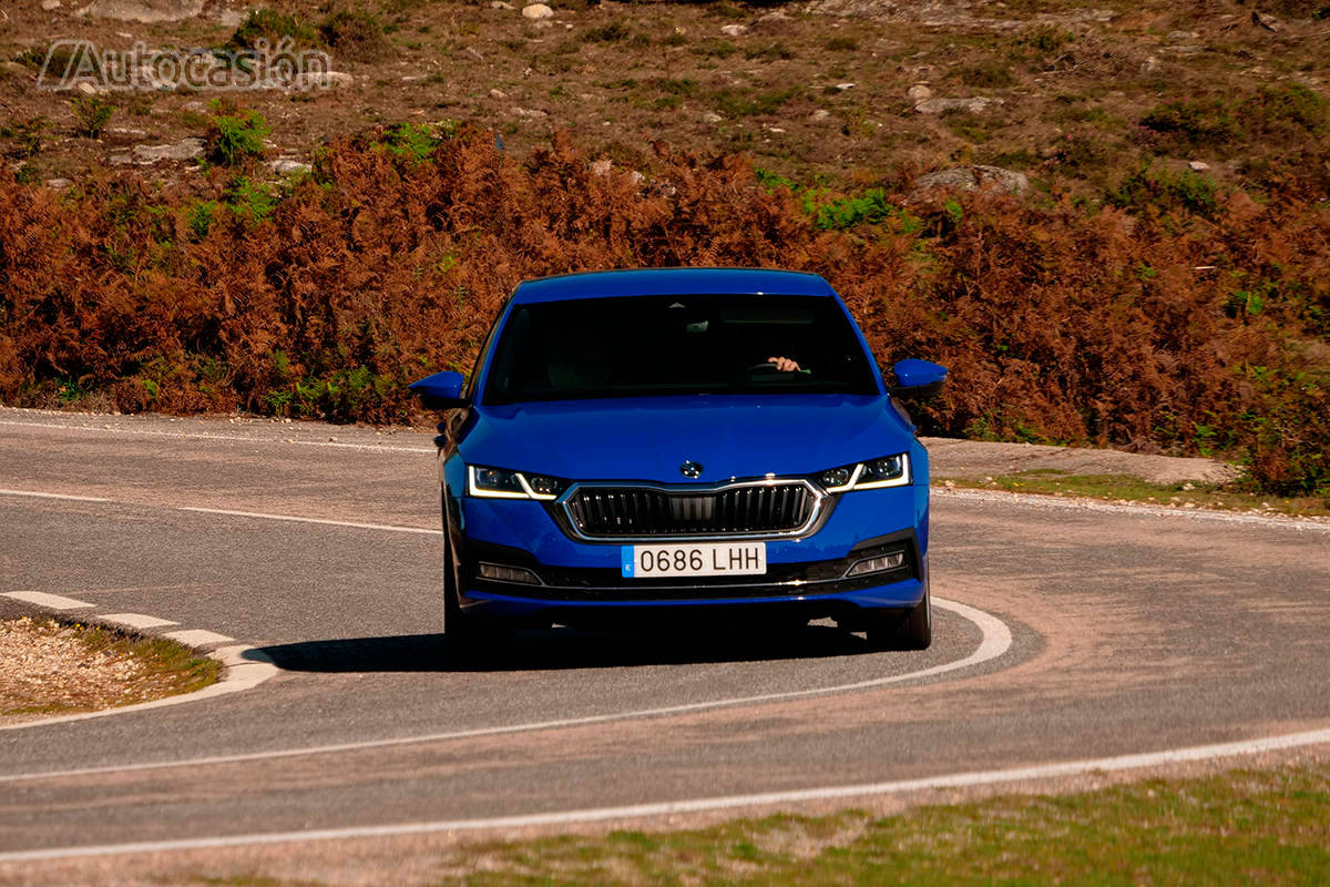 Fotos: Fotogalería: Skoda Octavia 1.5 TSi 2020