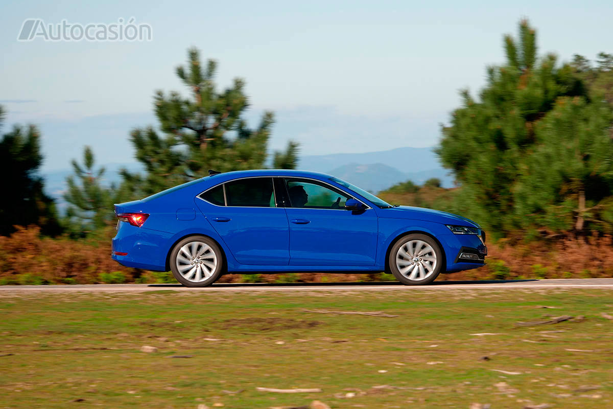 Fotos: Fotogalería: Skoda Octavia 1.5 TSi 2020