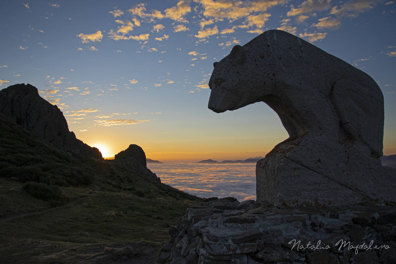 Oso de San Glorio. Al fondo, un mar de nubes.