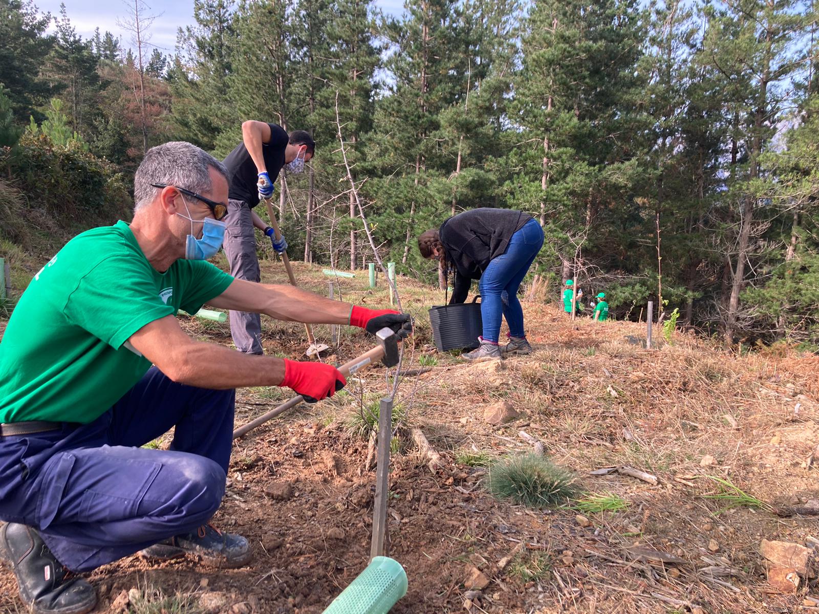 Durante una nueva jornada de voluntariado ambiental se plantaron 60 nuevos pies de distintos tamaños entre alcornocales, manzanos y perales silvestres. La actividad se enmarca dentro del programa 'Provoca' en el municipio de Cillorigo de Liébana