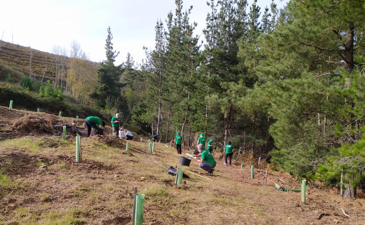 Los voluntarios trabajando en las inmediaciones de la ermita de San Tirso.