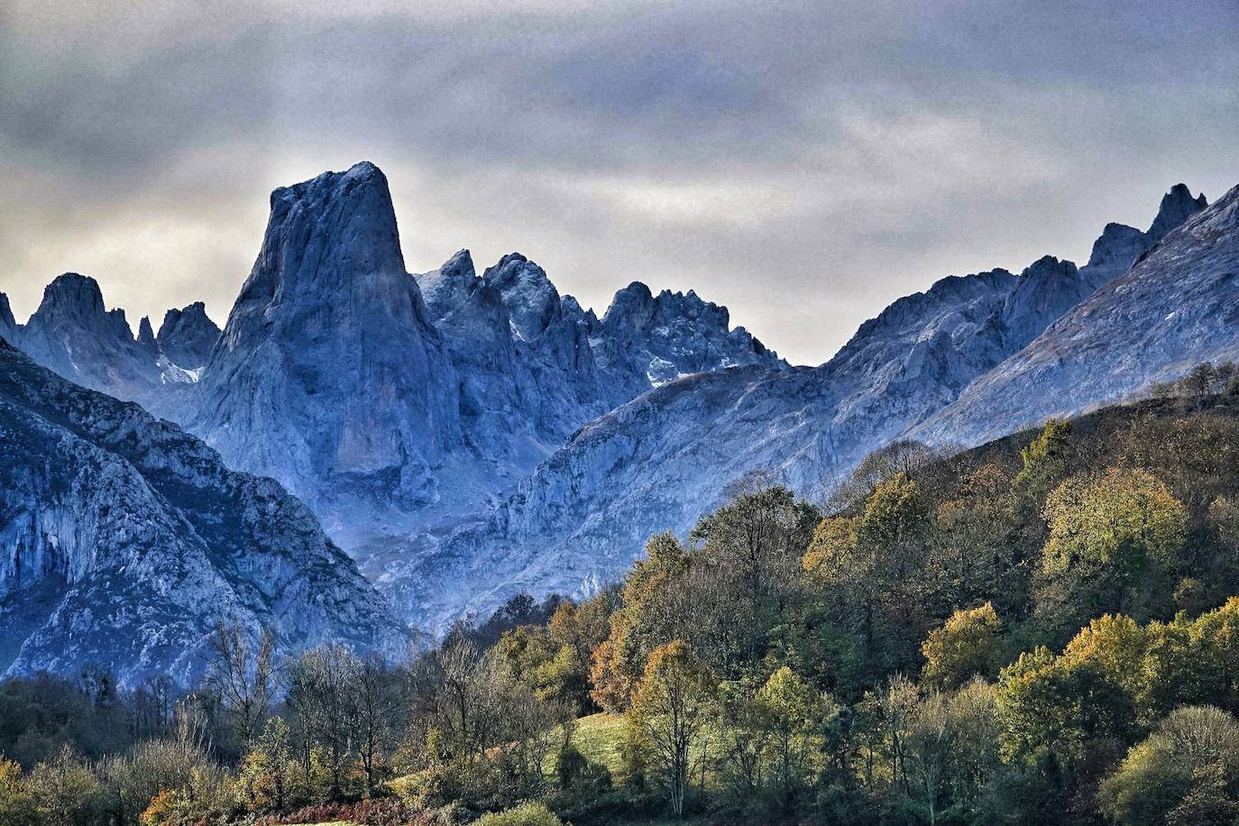 Los colores del otoño, e incluso el blanco de la nieve, ya han teñido algunos de los rincones de los Picos de Europa, uno de los lugares más imponentes enclavados entre Cantabria, Asturias y León. En este espacio encontraremos las cumbres más altas de la Cordillera Cantábrica como la más emblemática: el Picu Urriellu o Naranjo de Bulnes con sus 2.519 metros de altitud. Un total de 67.127 hectáreas que conforman una de las mejores reservas mundiales de los ecosistemas ligados al bosque atlántico.