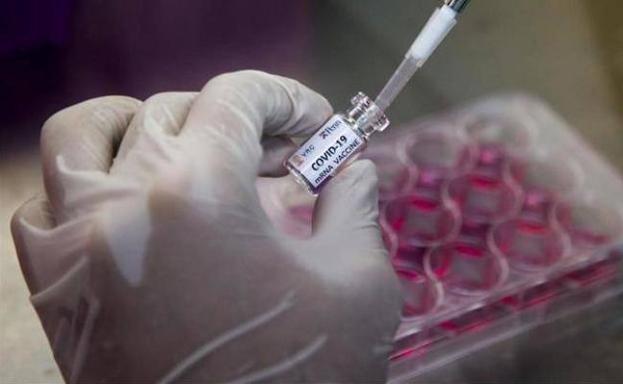 Valdecilla queda fuera de la fase final de la vacuna de Johnson&Johnson contra el covid