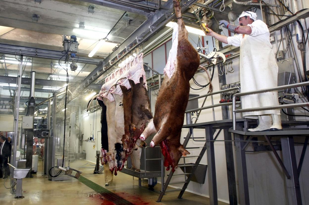 Instalaciones del matadero municipal de Barreda. 