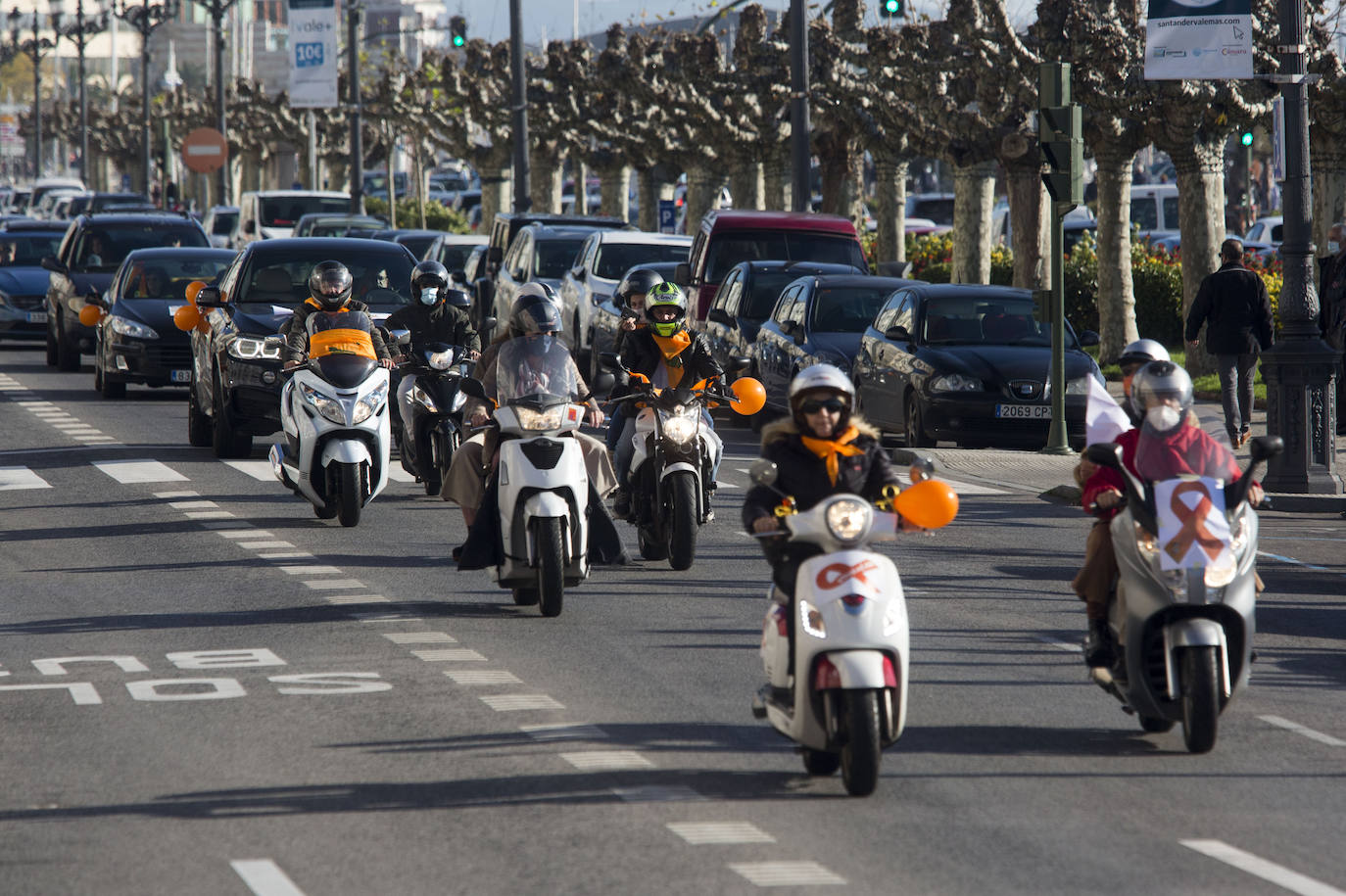 Fotos: Contra la ley Celaá