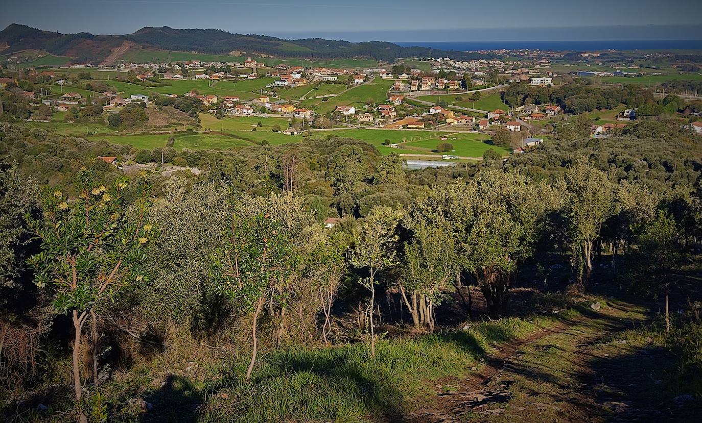 Fotos: Un paseo por Peñas Negras