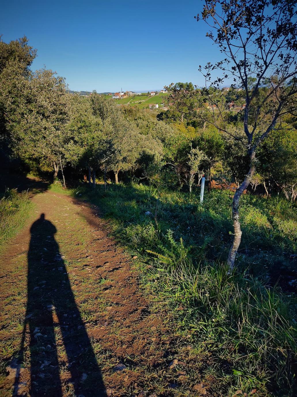 Fotos: Un paseo por Peñas Negras