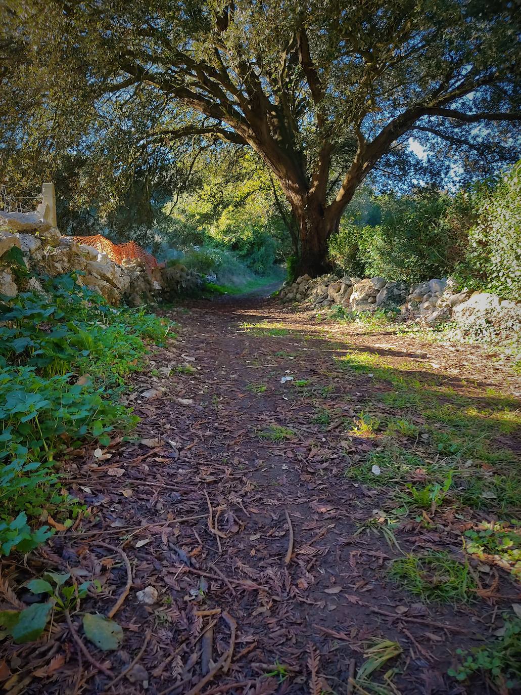 Fotos: Un paseo por Peñas Negras