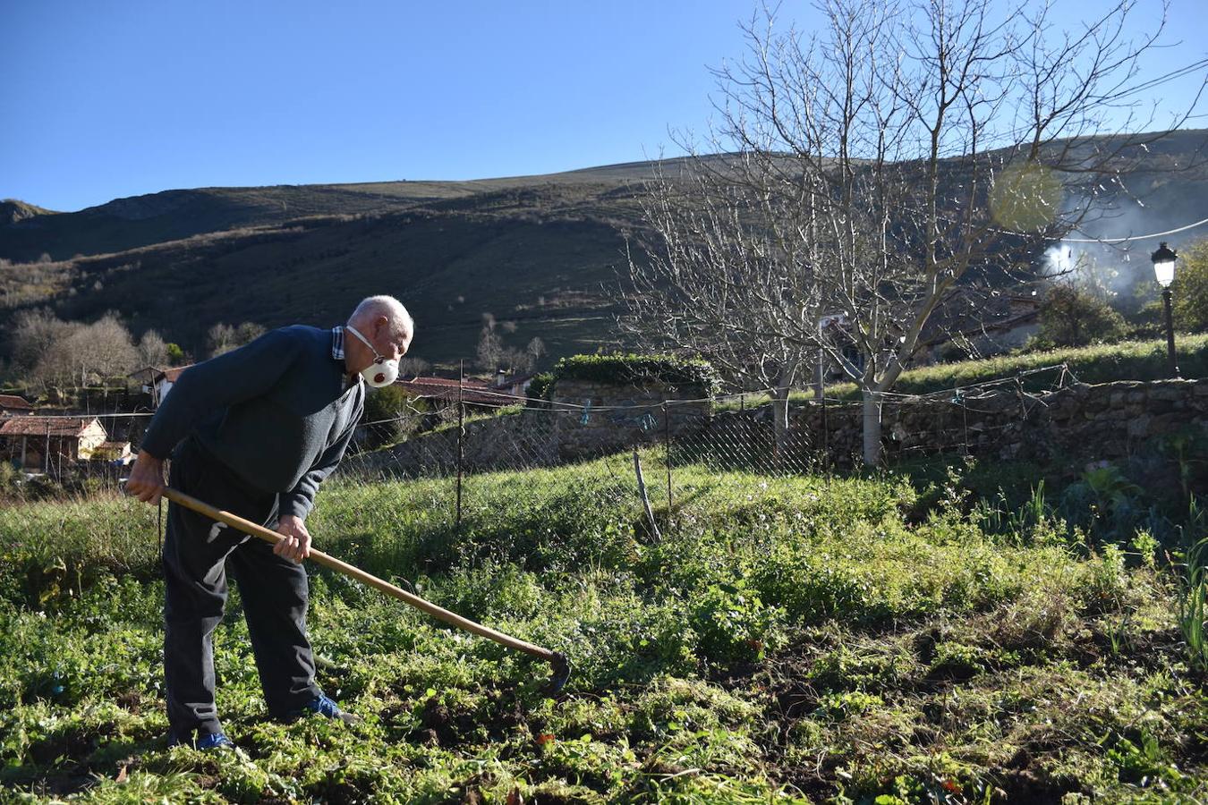 Alfonso Hoya, vecino de Tudanca, en su huerto, situado en la entrada del casco monumental del pueblo, desde donde este verano ha visto como llegaban "cientos" de visitantes