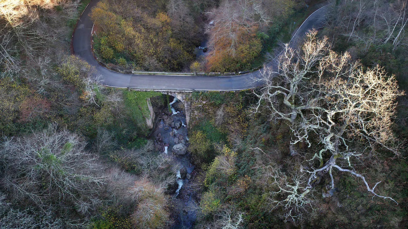 Con una extensión de cerca de 25.000 hectáreas, el Parque Natural del Saja-Besaya es el más extenso de Cantabria. El recorrido es un lujo para los sentidos, más aún en esta época del año que las de masas de hayas y robles están en pleno cambio de color. El recorrido es un lujo para los sentidos, más aún en otoño y ya ha venido algún temporal que proporcione agua a los ríos y arroyos. En gran parte del recorrido se escucha la música del río Argoza 