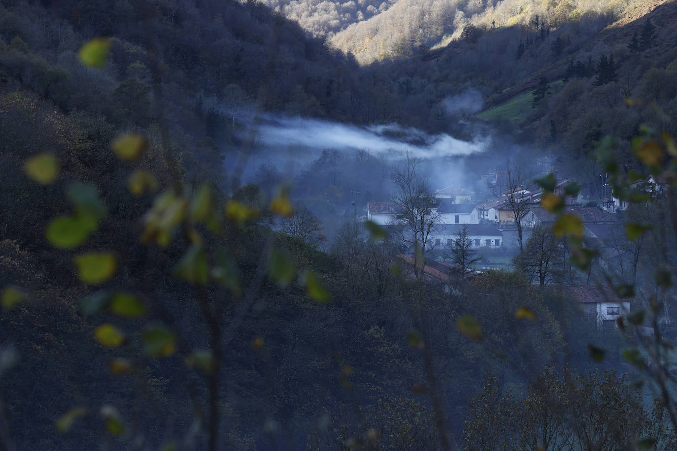 Con una extensión de cerca de 25.000 hectáreas, el Parque Natural del Saja-Besaya es el más extenso de Cantabria. El recorrido es un lujo para los sentidos, más aún en esta época del año que las de masas de hayas y robles están en pleno cambio de color. El recorrido es un lujo para los sentidos, más aún en otoño y ya ha venido algún temporal que proporcione agua a los ríos y arroyos. En gran parte del recorrido se escucha la música del río Argoza 