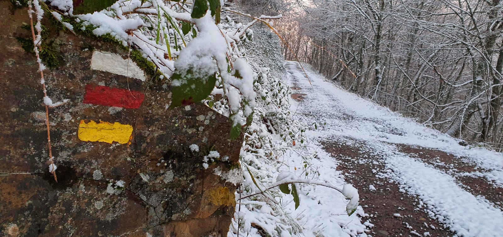 Imagen de Espinama (Liébana) de esta mañana.