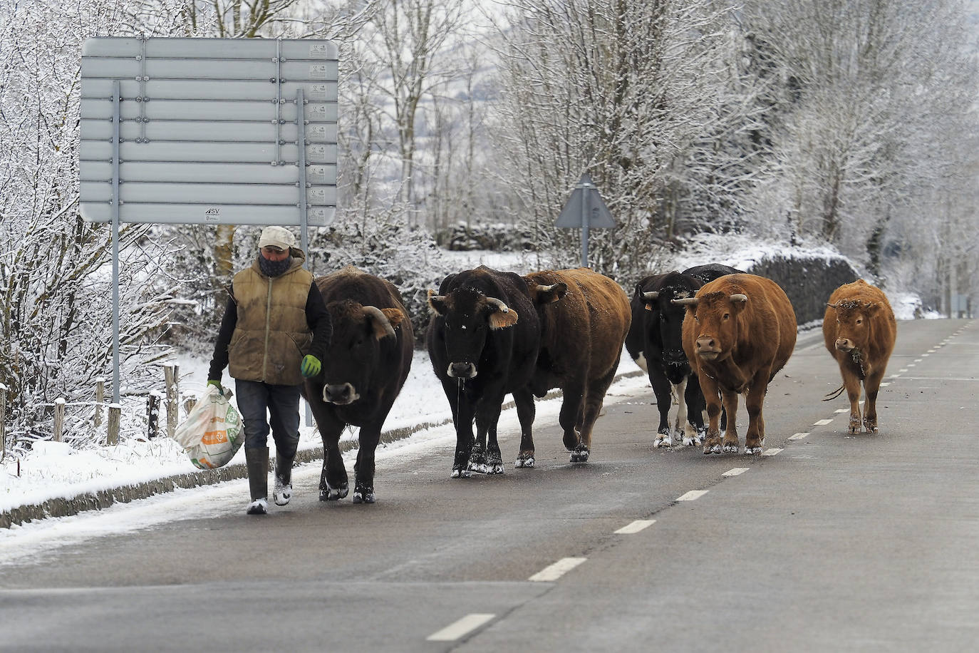 Fotos: La nieve cubre Campoo