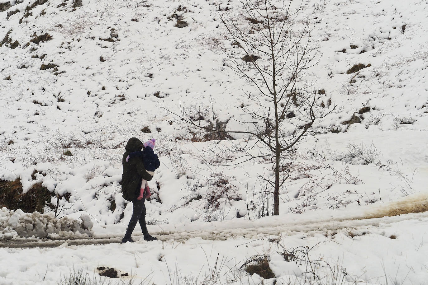 Fotos: La nieve cubre Campoo