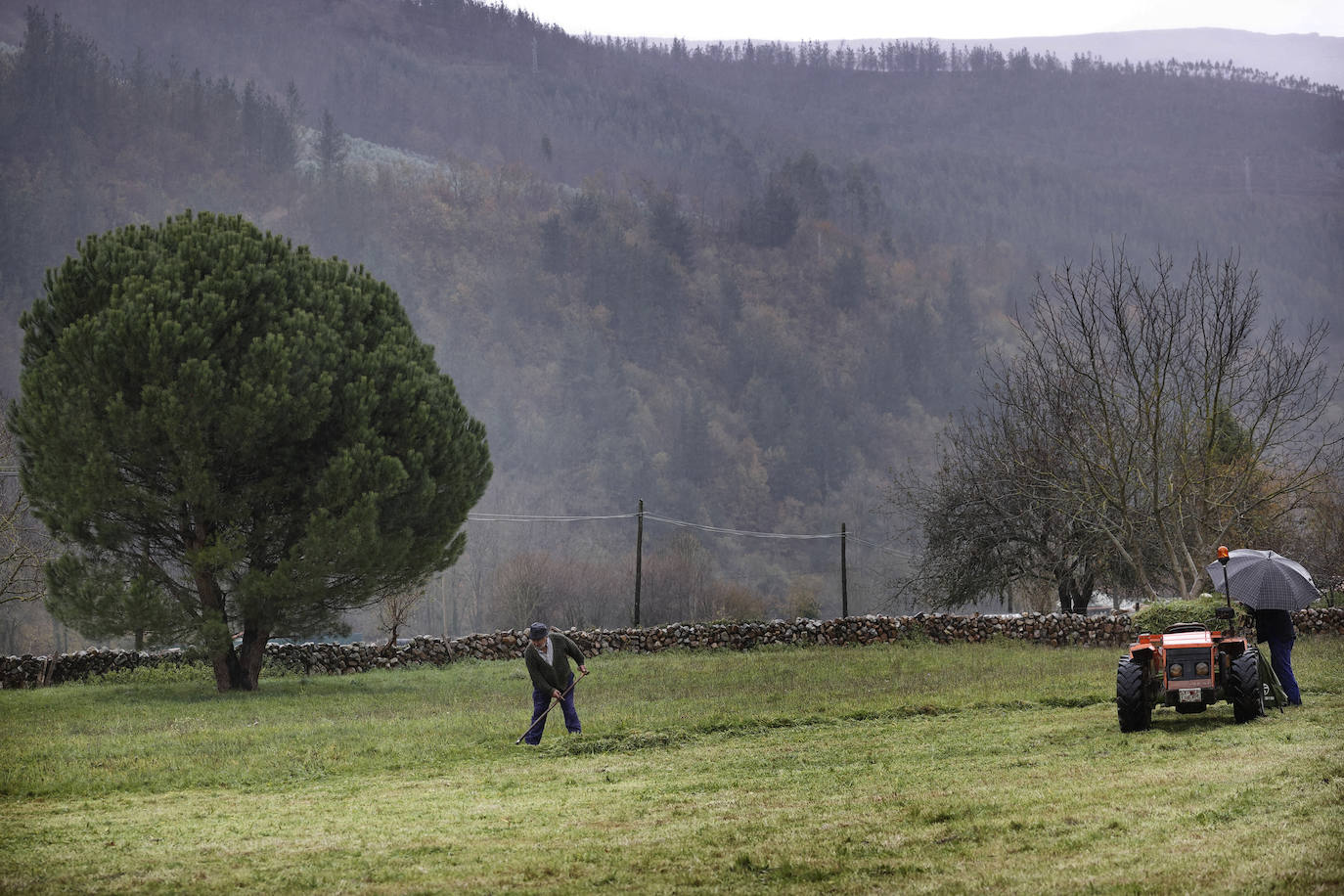 Fotos: &#039;Dora&#039; trae viento, lluvia y nieve a Cantabria