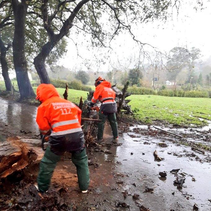 Retirada de árbol caído en San Pantaleón de Aras (Voto), que cortaba el paso por un vial de la junta vecinal.