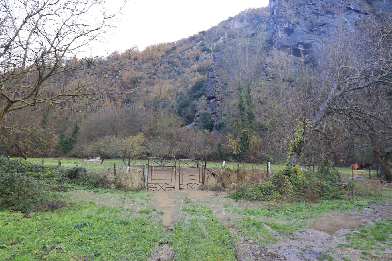 Fotos: Los ríos Deva y Quiviesa inundan fincas y paseos fluviales en Potes